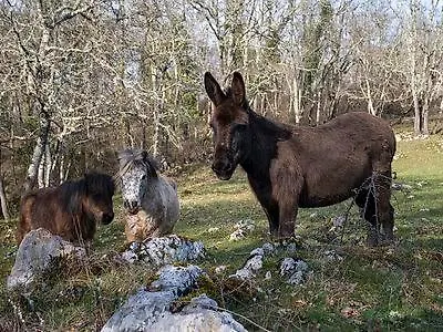Familiale à La Ferme Casa de hóspedes Montesquieu-Avantes