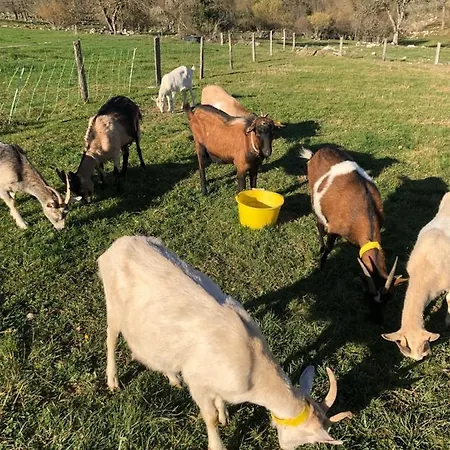 Familiale A La Ferme Konukevi