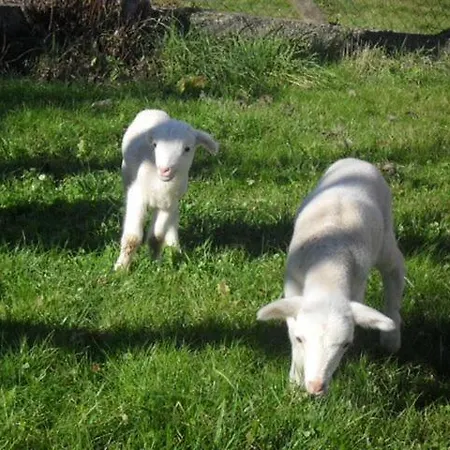 Konukevi Familiale A La Ferme Montesquieu-Avantes