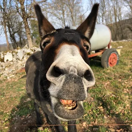 Konukevi Familiale A La Ferme