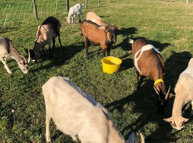 Familiale A La Ferme Guest house