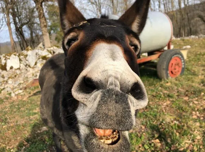 Guest house Familiale A La Ferme